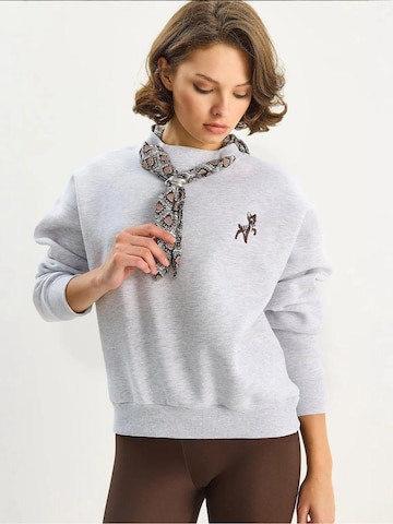 Bianco Lucci Sweatshirt in Grey