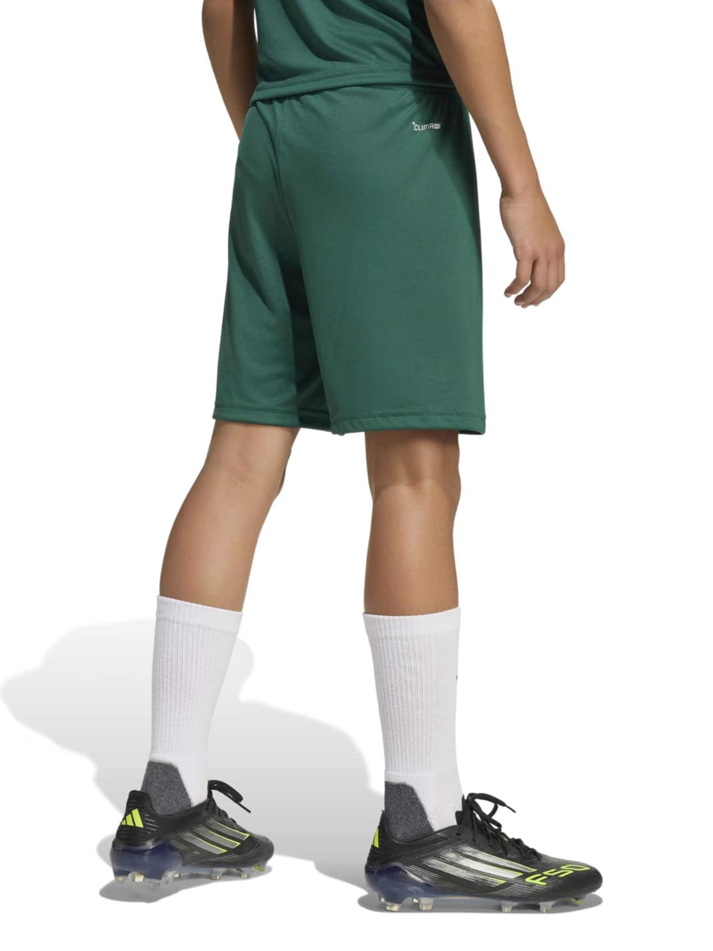 Regular Pantalon de sport 'ENT26' ADIDAS PERFORMANCE en vert