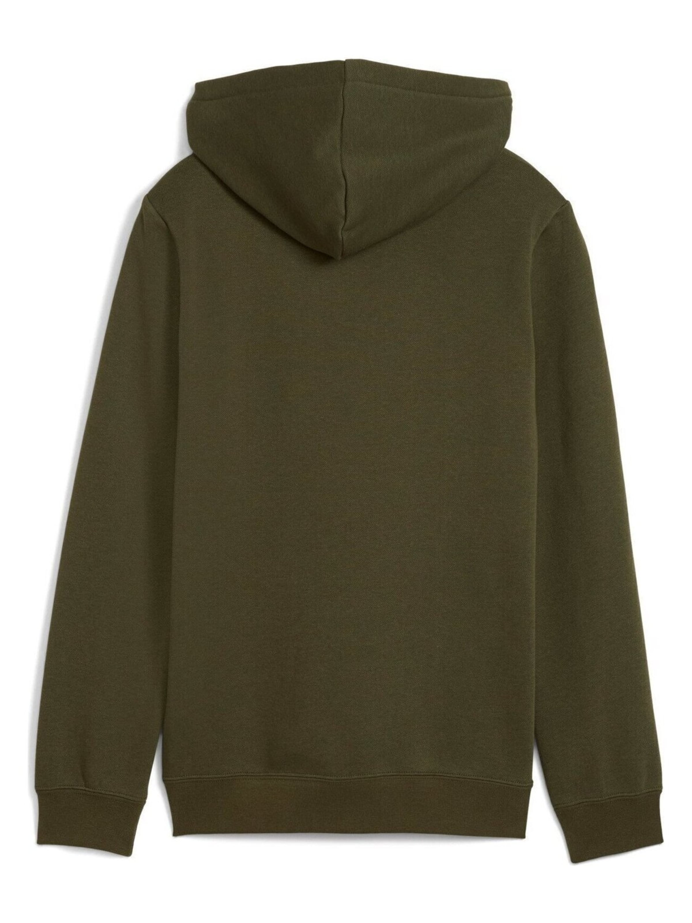 PUMA Sweatjacke‌‌‌‌‌‌‌‌‌‌ in Grün