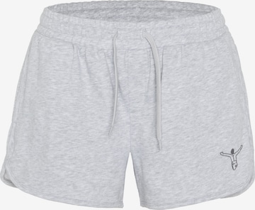 CHIEMSEE Regular Pants in Grey: front