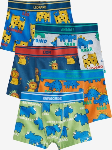 mišri Next Apatinės kelnaitės: priekis