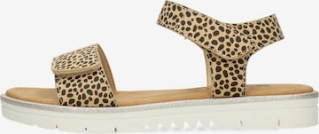 POSH by Poelman Sandale in Beige: Vorderseite