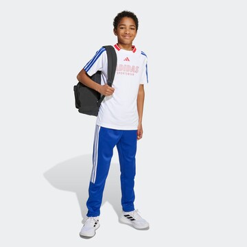 ADIDAS SPORTSWEAR Regular Sporthose in Blau