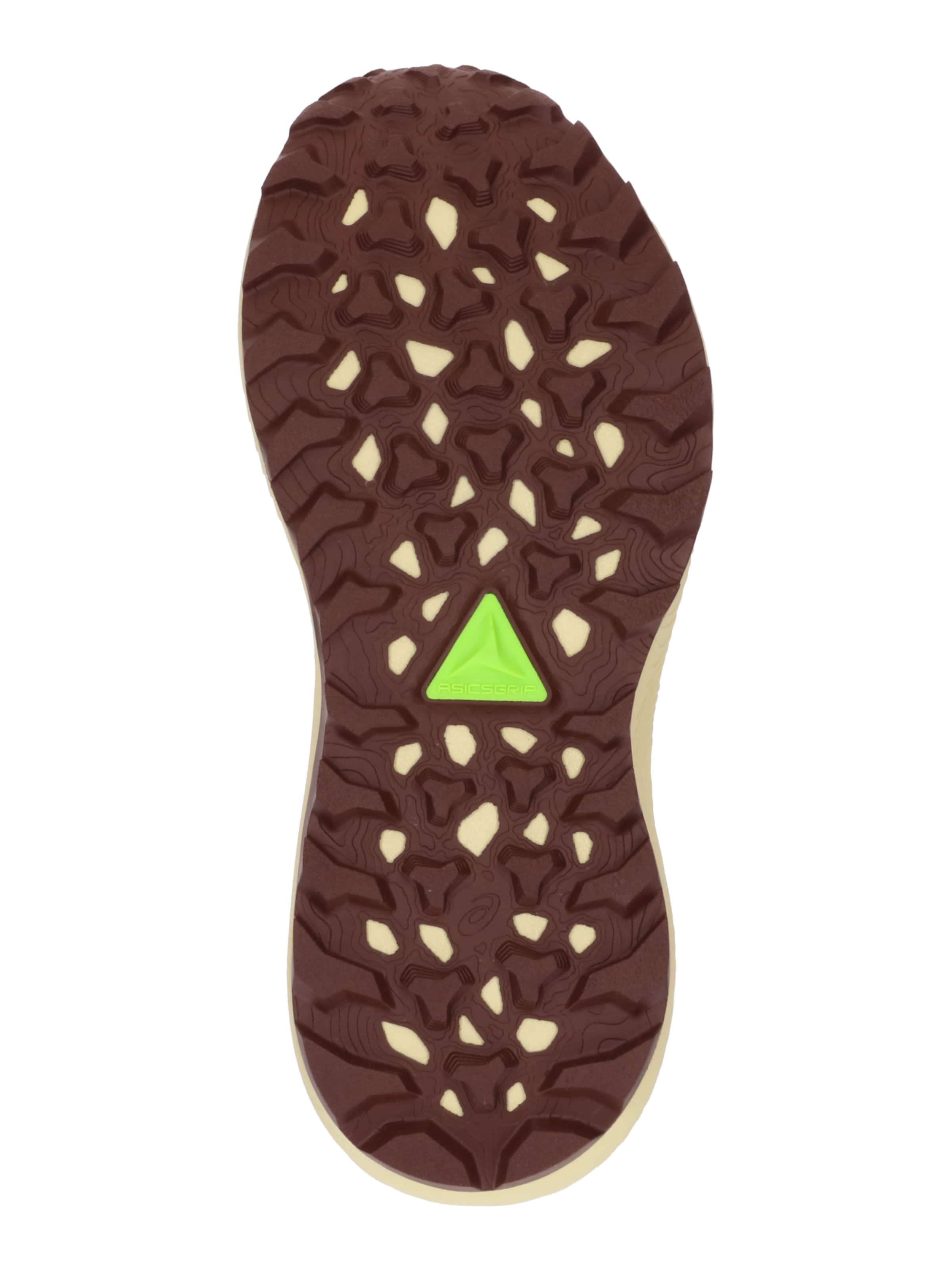 ASICS Спортивная обувь 'Trabuco Terra 3' в Черный