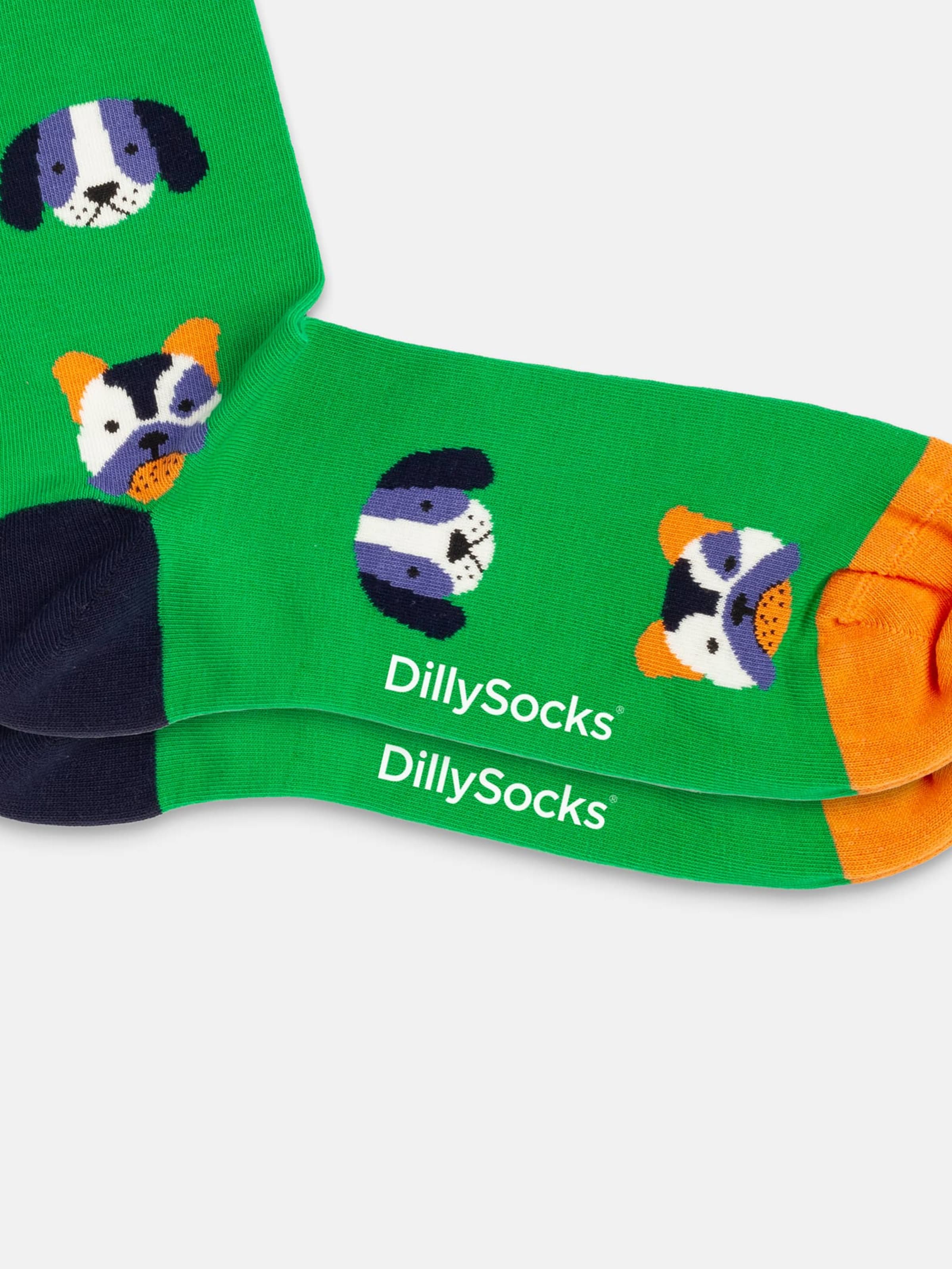 DillySocks Socken 'Geschenkbox - Paws & Friends (3er Box)' in Mischfarben