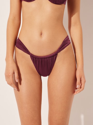 CALZEDONIA Bikini Bottoms in Purple