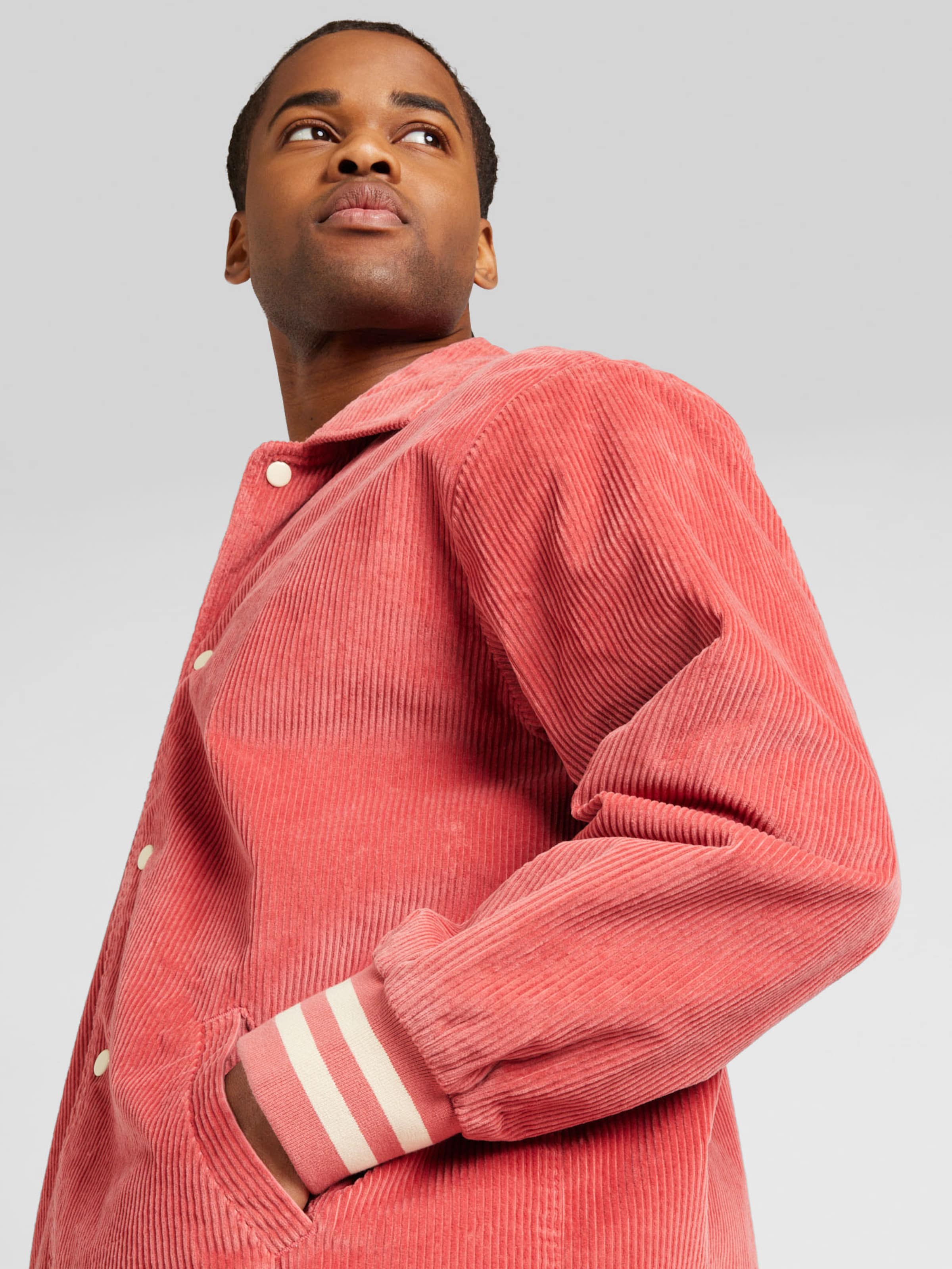 Levis skate jacket online