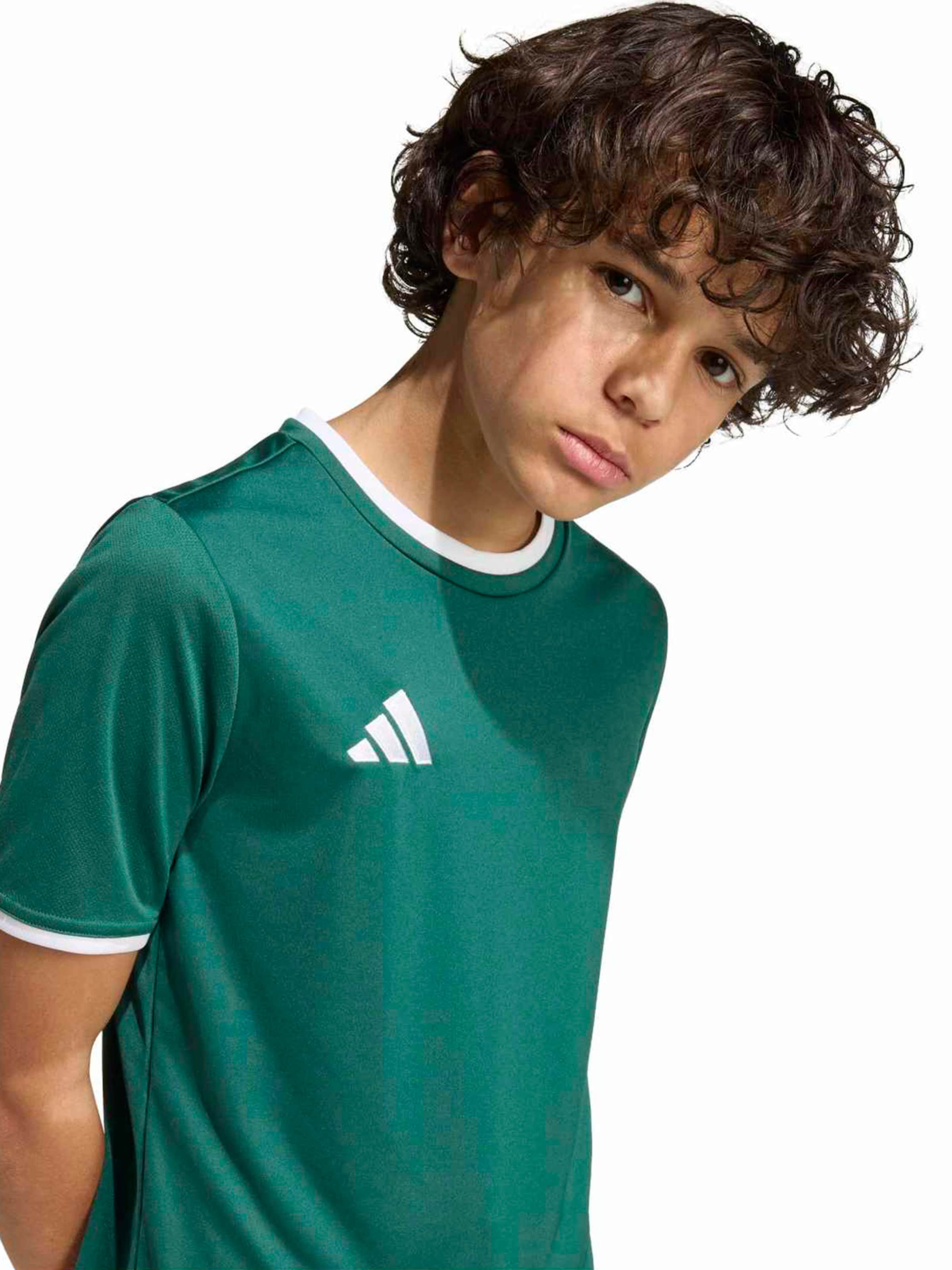 Tricou funcțional 'ENT26' de la ADIDAS PERFORMANCE pe verde