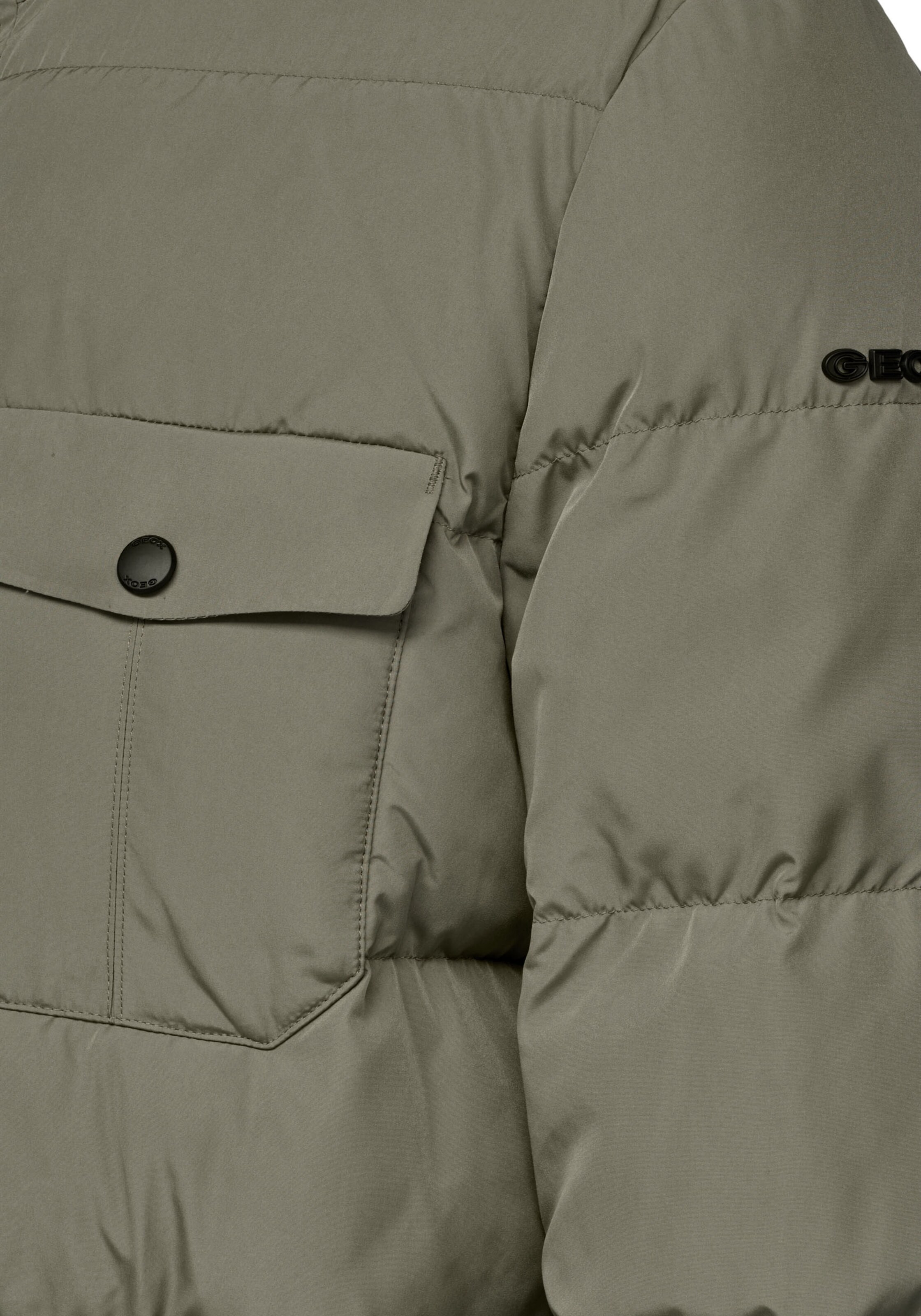 GEOX Winterjacke in Grün