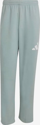 zaļš ADIDAS SPORTSWEAR Sporta bikses 'Essentials': no priekšpuses