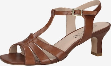 CAPRICE Strap Sandals in Brown: front