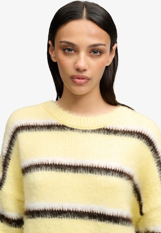 Superdry & Co Trui in Bruin