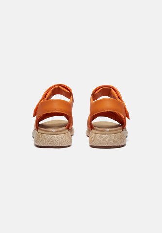 Sandalo con cinturino di TIMBERLAND in arancione