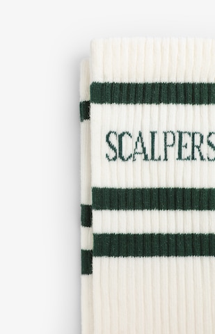 Calzino ' ' di Scalpers in verde