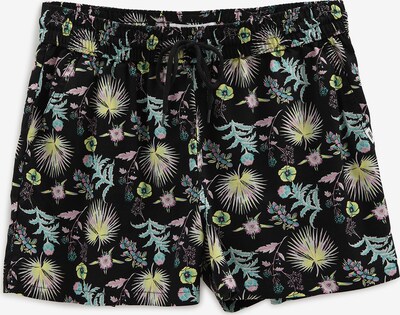 Pantaloni VANS pe mai multe culori, Vizualizare produs