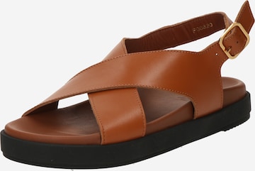 Alohas Remmisandaalit 'Nico' värissä ruskea: etupuoli