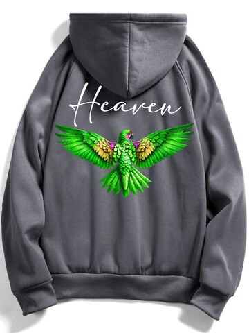 RMK Sweatshirt 'Heaven'‌‌‌‌‌‌‌‌ in Grau: Vorderseite