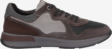 SIOUX Sneakers laag 'Rojaro-715' in Grijs