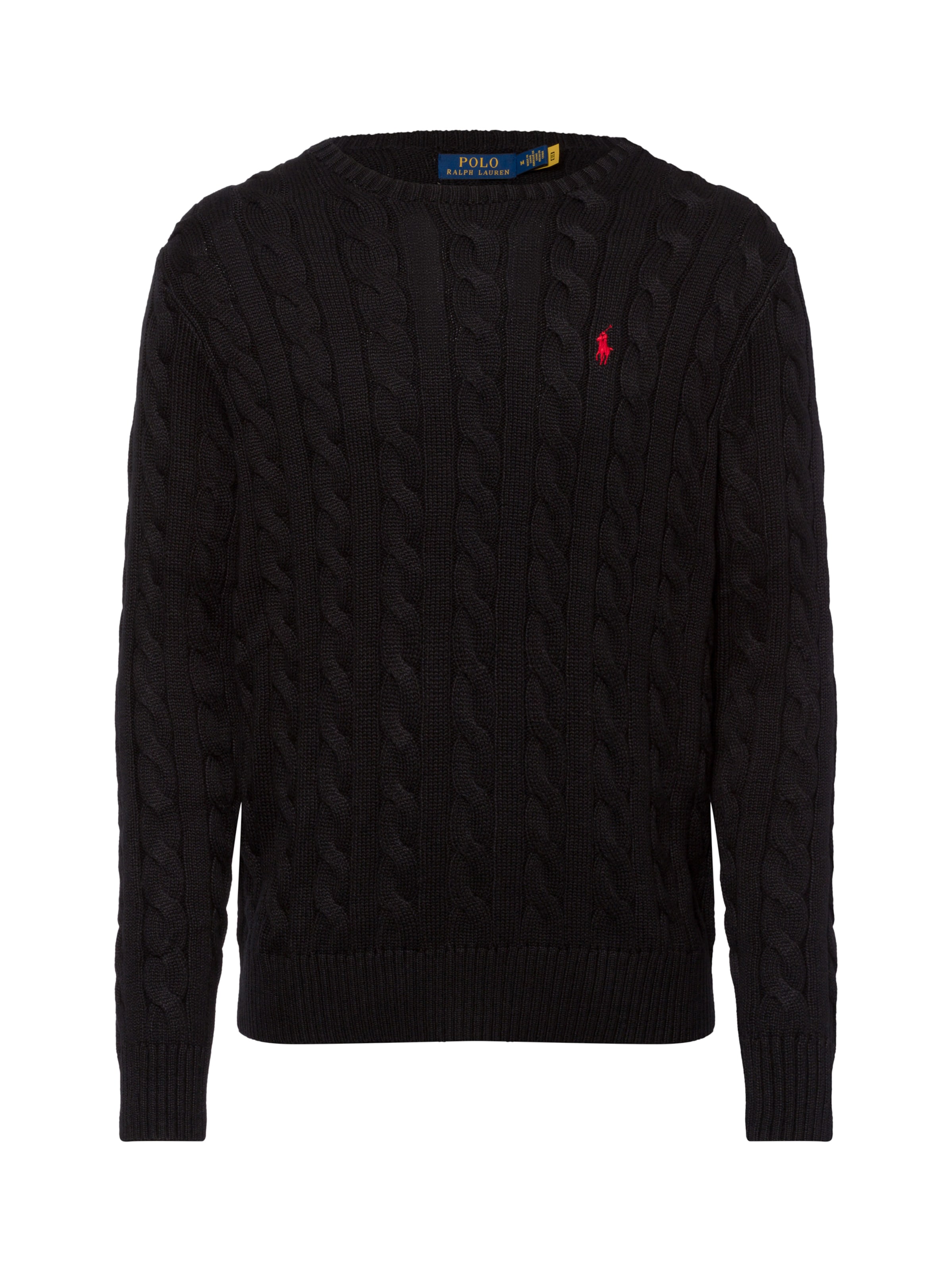 Polo Ralph Lauren Regular fit Sweater 'Driver' in Black: front