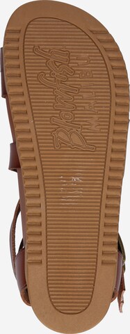 Blowfish Malibu Sandalen met riem 'CANDIE' in Bruin