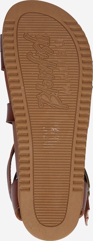 Blowfish Malibu Remienkové sandále 'CANDIE' - Hnedá