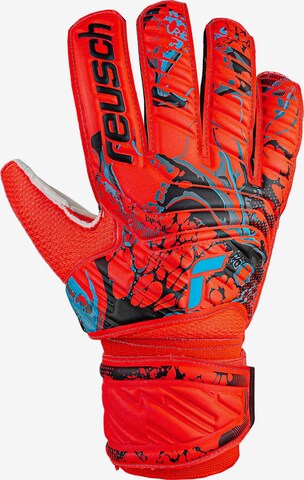 REUSCH Athletic Gloves 'Attrakt Solid' in Blue