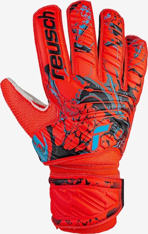 REUSCH Torwarthandschuhe 'Attrakt Solid' in Blau