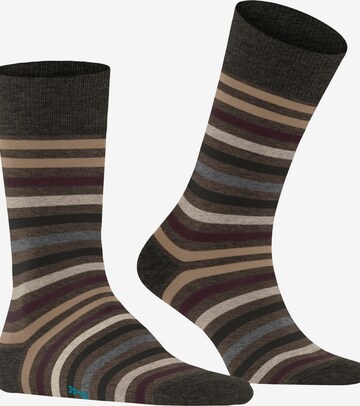 FALKE Socks 'Tinted Stripe' in Green: front