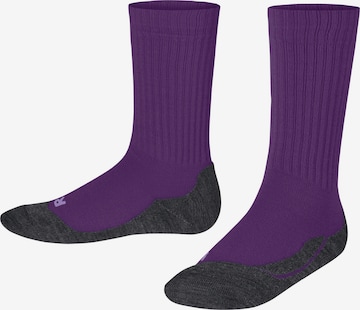 FALKE Socken 'Active Warm' in Lila: Vorderseite