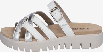 Westland Mules 'Laurie' in White: front