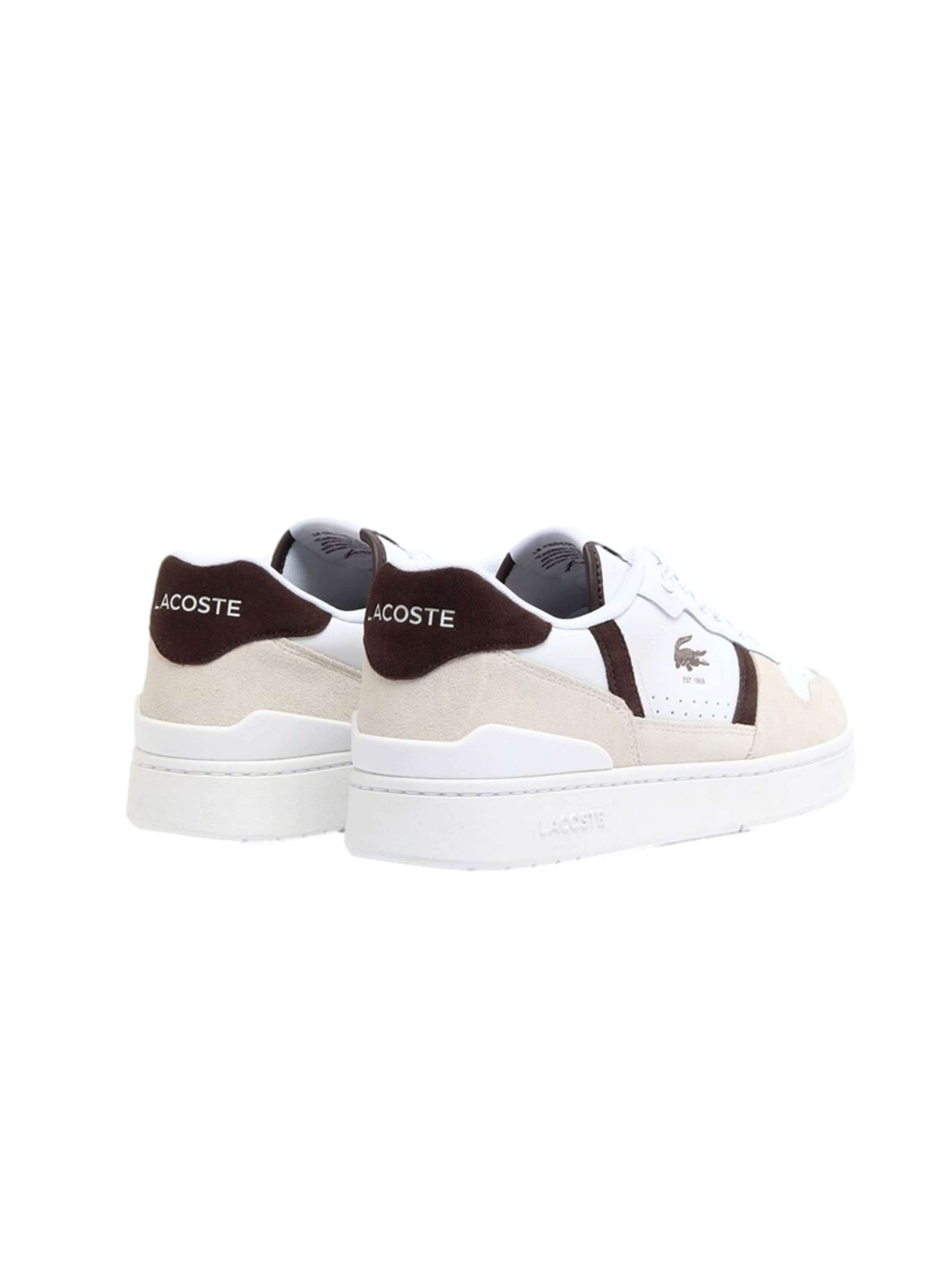 Baskets basses 'T Clip Set' LACOSTE en beige