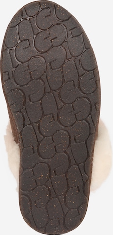 UGG Slippers 'Scuffette' in Brown