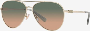 COACH Sunglasses in Gold: front