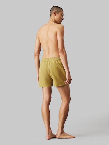 Calvin Klein Swimwear Swimming shorts in Brown