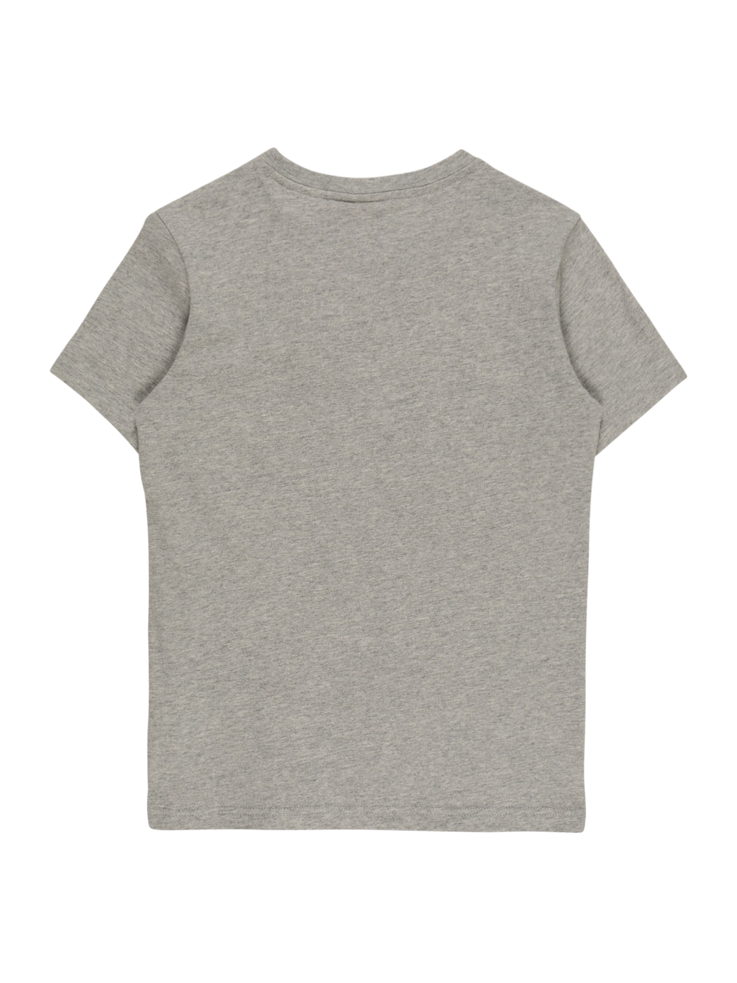 Champion Authentic Athletic Apparel Shirt in Grey