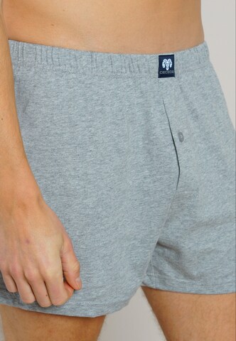 CECEBA Boxershorts in Blauw