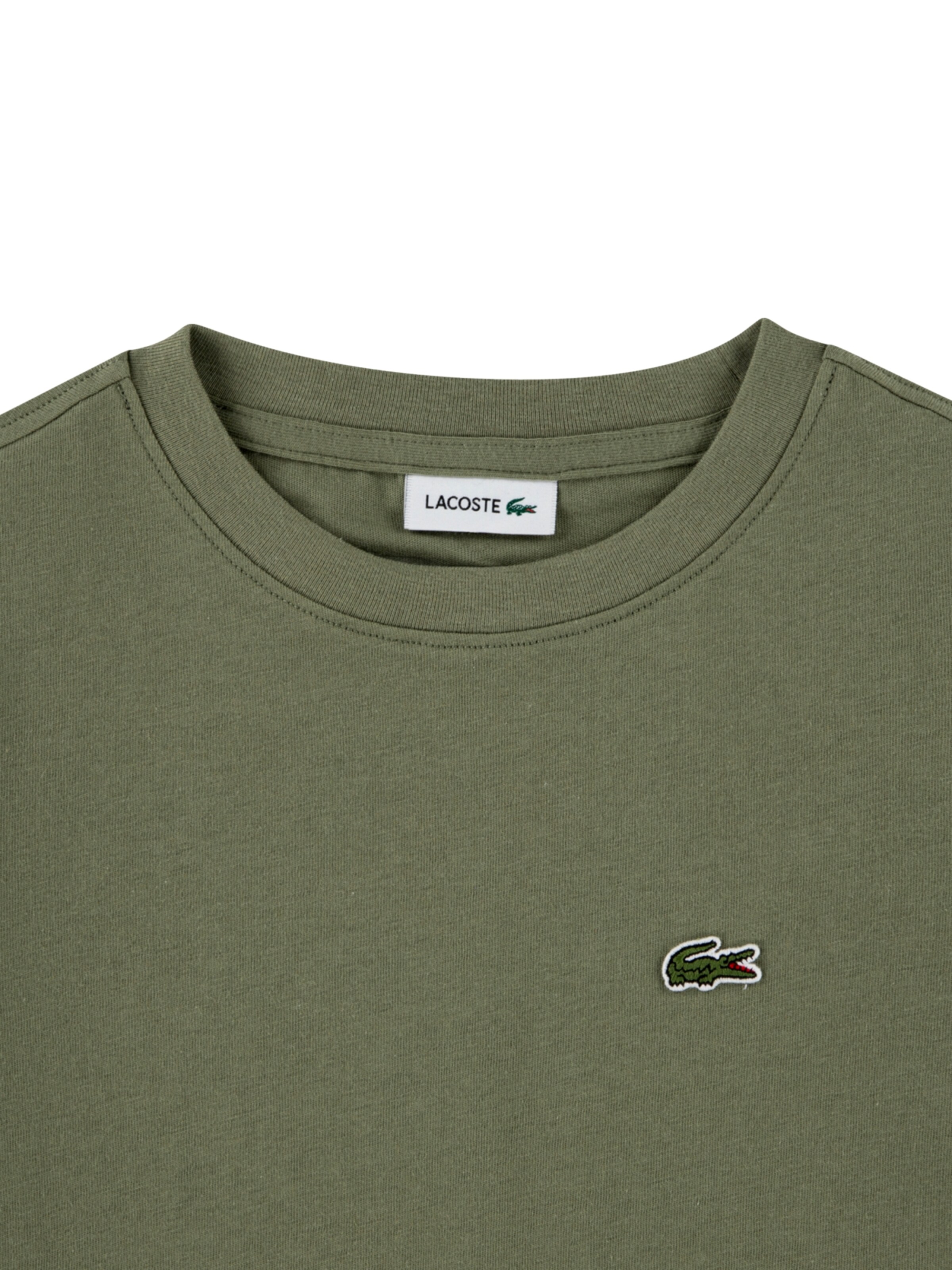 LACOSTE Shirt in Groen