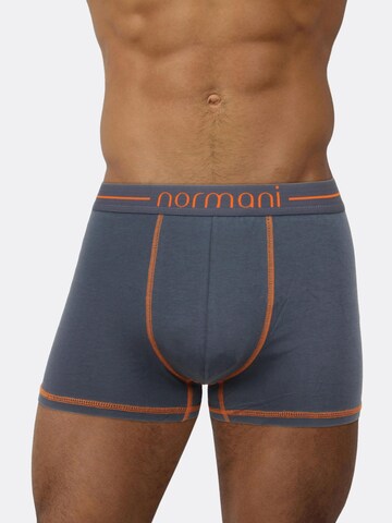 normani Boxershorts in Grau: predná strana