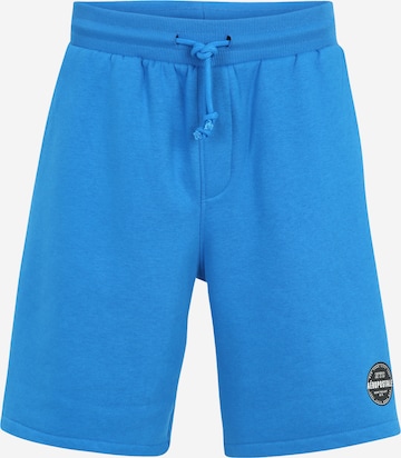 AÉROPOSTALE Regular Trousers in Blue: front