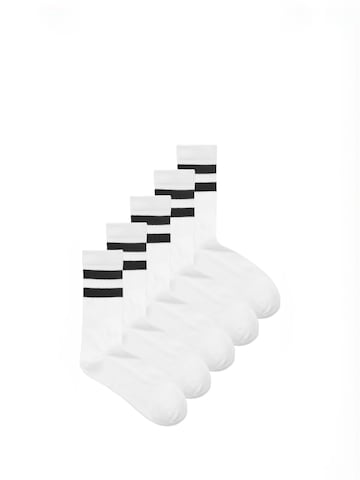 TEESHOPPEN Socks ' Heritage ' in Black: front