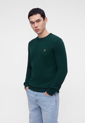 Pullover 'COHAS BROOK' di TIMBERLAND in verde