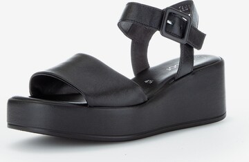 GABOR Strap Sandals in Black: front