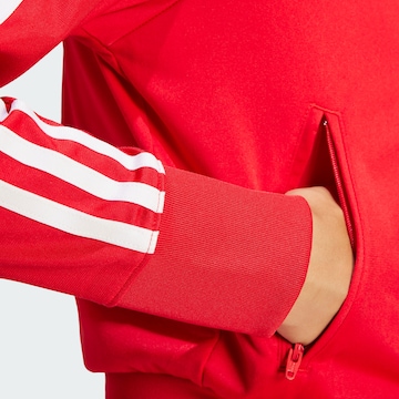 ADIDAS ORIGINALS Zip-Up Hoodie 'Adicolor Classics Firebird' in Red
