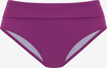 LASCANA Bikinihose in Lila: predná strana