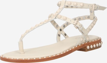 ASH T-Bar Sandals 'PAROS BIS' in White: front