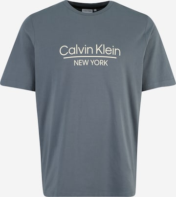 Calvin Klein Big & Tall T-shirt i grå: framsida