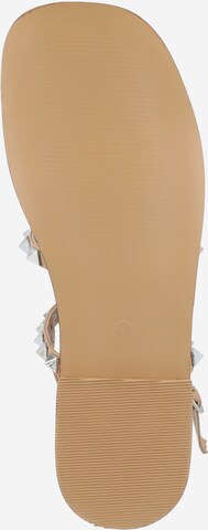 Dorothy Perkins Remmisandaalit värissä beige