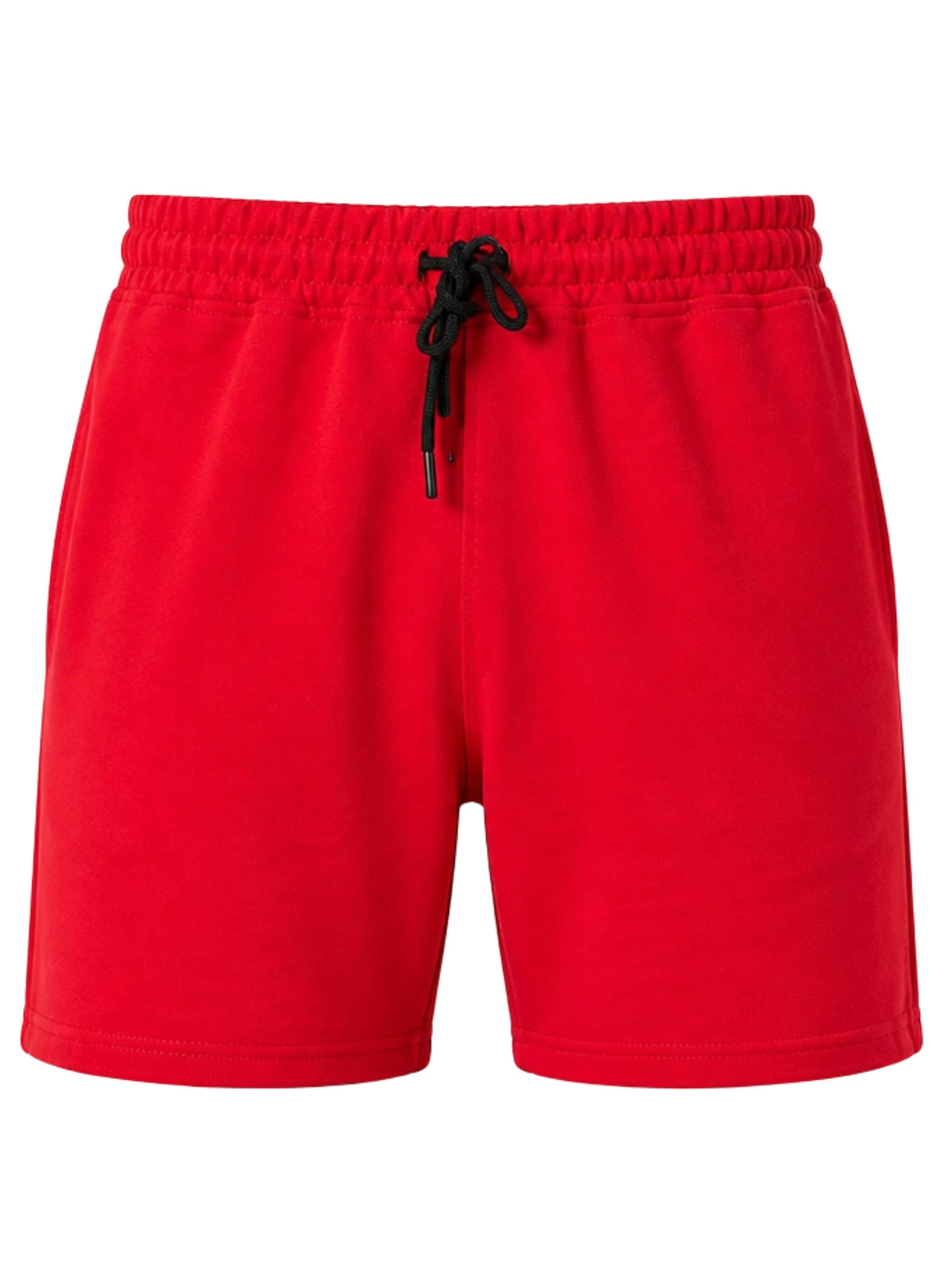 LOUIS LECLER Pants 'Otto' in 30 in Red, Item view