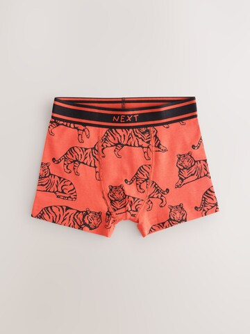 Next Onderbroek in Gemengde kleuren