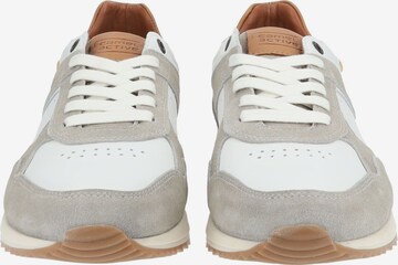 CAMEL ACTIVE Sneaker in Beige